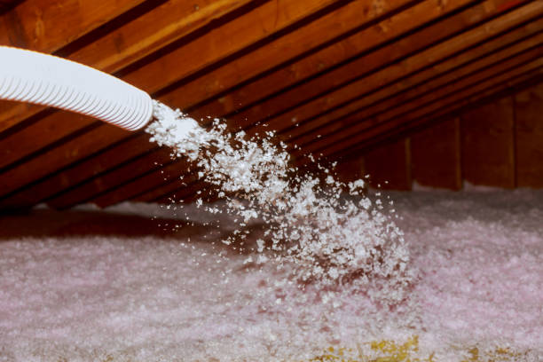 Types of Insulation We Offer in Badger, AK