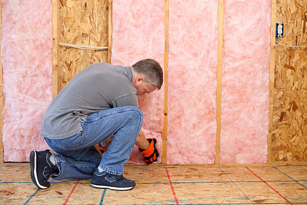 Best Geographic-Specific Insulation Services in Badger, AK